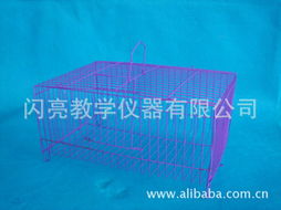 閃亮教學儀器與寵物用品產品列表 教學演示用品的全新視角